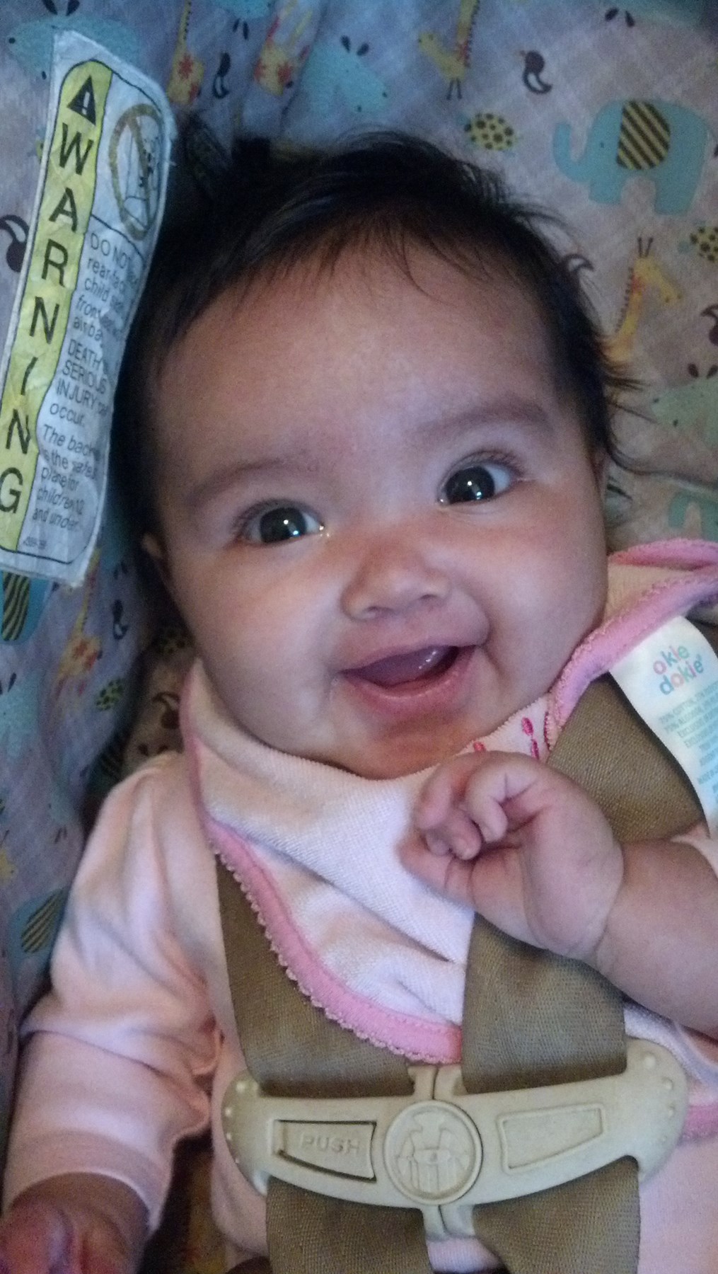 Obituary of Erin Rosita Holt