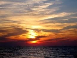 Obituary of Javier Bustos Vazquez