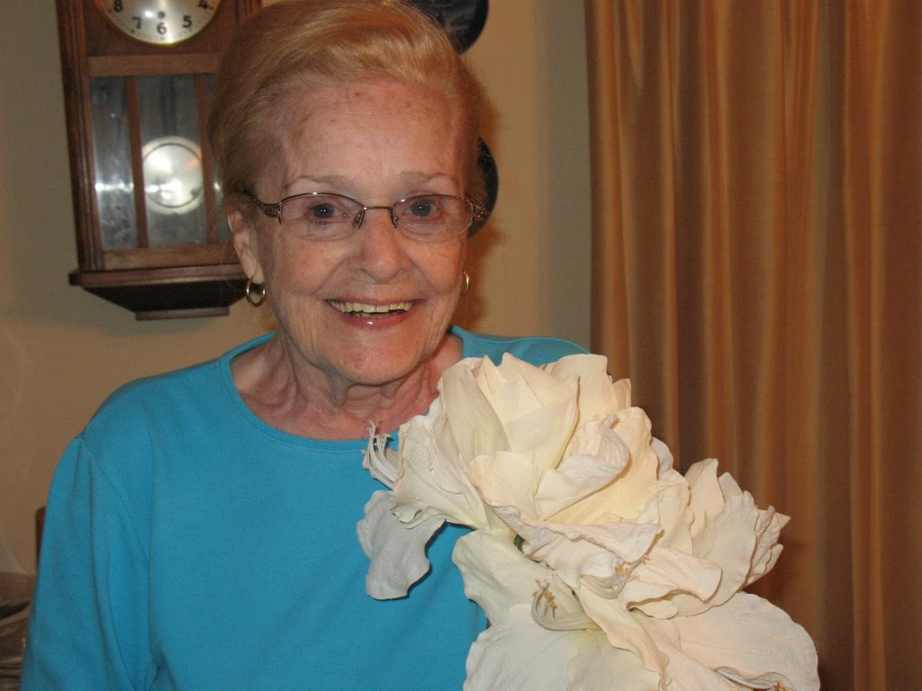 Obituary of Lucille "Lou" Vinson Montgomery