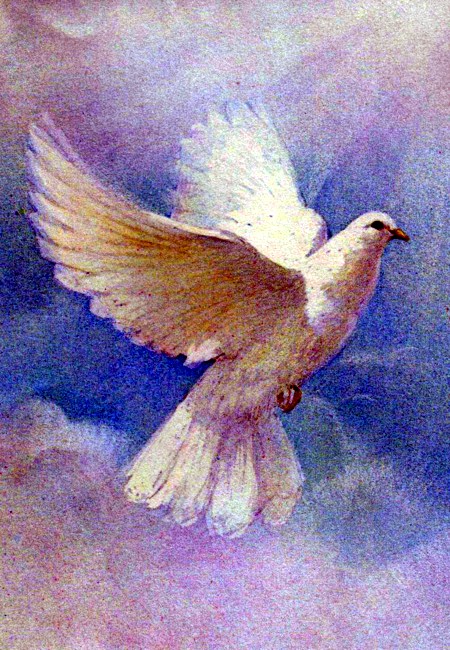 Obituary of Mary Margaret Dorio