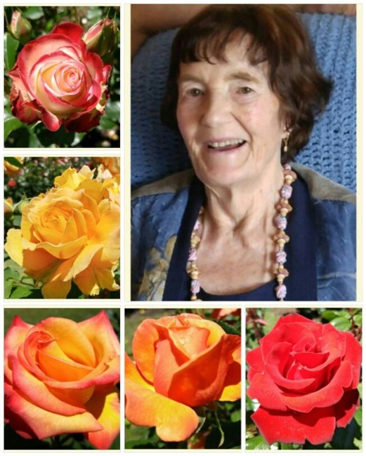 Obituary of Anita A Sillies