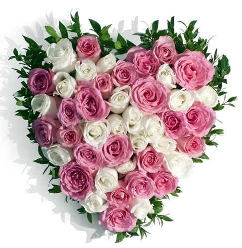 Obituary of Natalia Diaz