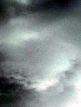 Phyllis Riggs Obituary - Santa Clara, CA