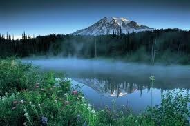 Obituary of Joseph P. McNally