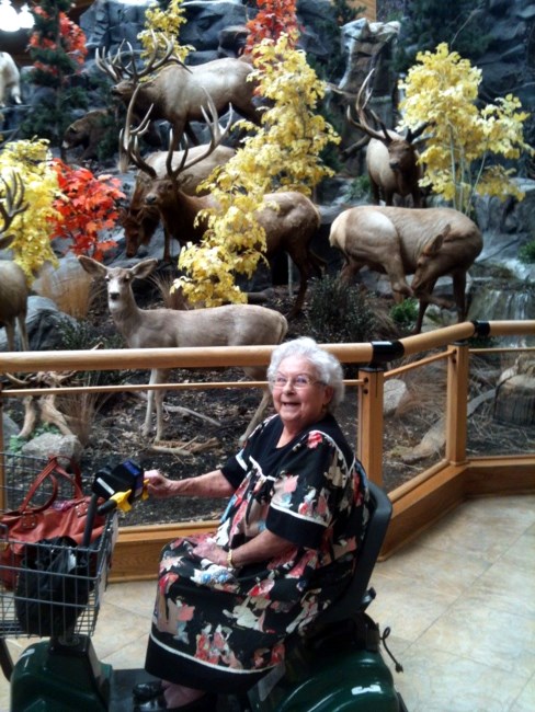 Obituary of Geraldine Lifsey McClary