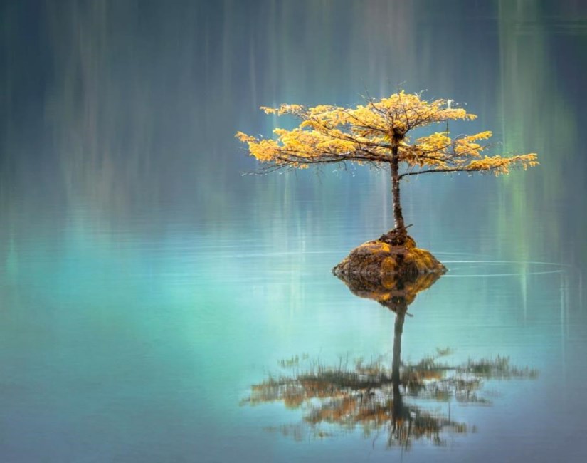 Obituary of Martha E Montoya-Hardesty