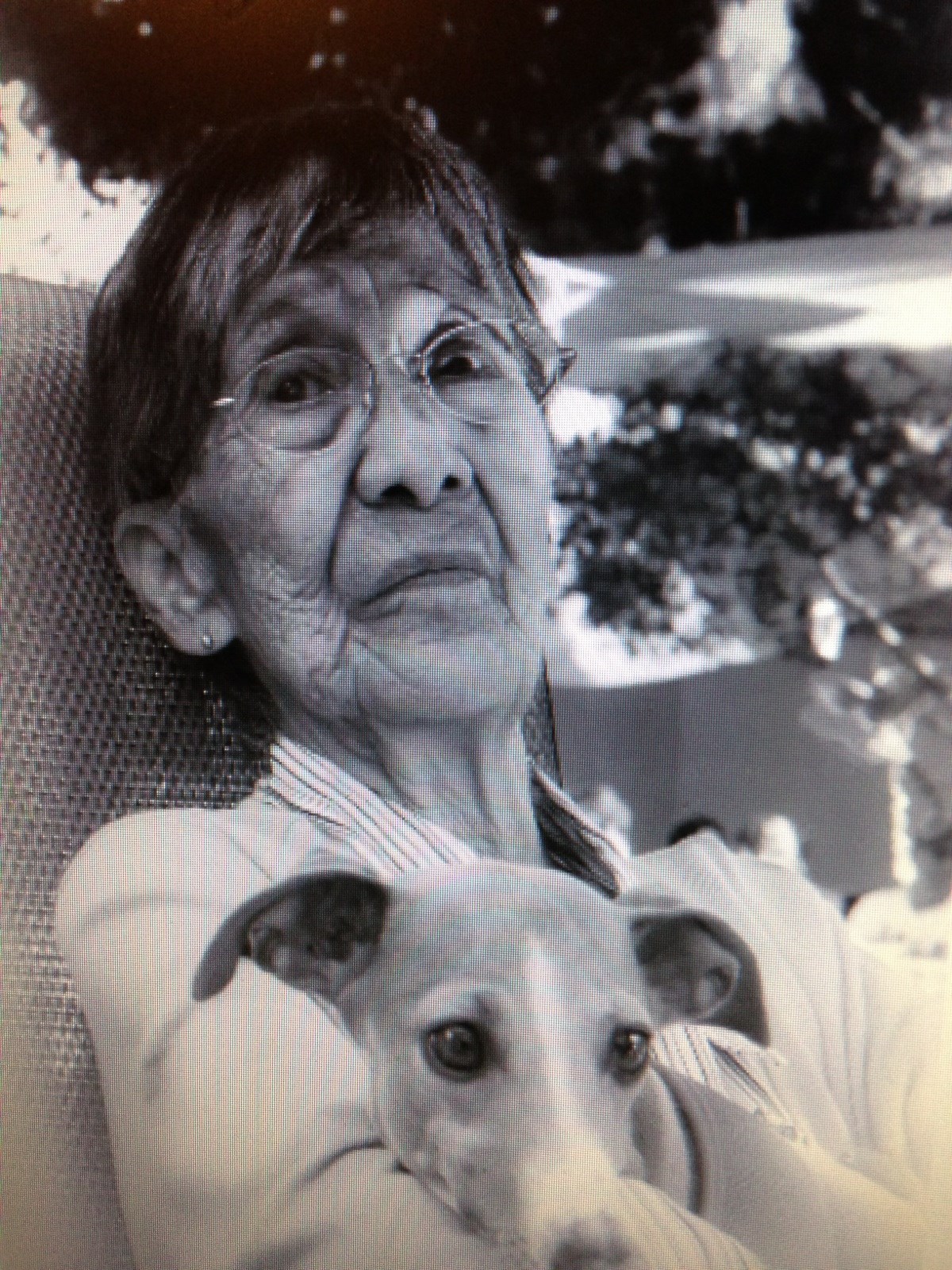 Obituary of Elvira Hernandez Speare