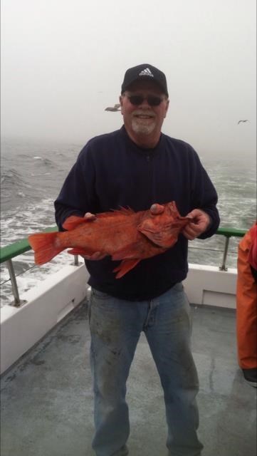 Obituary of Steven Dale Potter