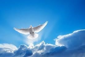 Obituary of Doris L. Schneider