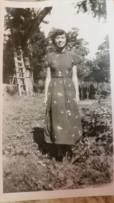 Frances Luppino Obituary Livingston Nj