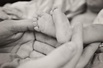 Obituary of Harper Rose Truax