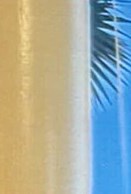 Diana Ryniec Obituary - Bowmansville, NY