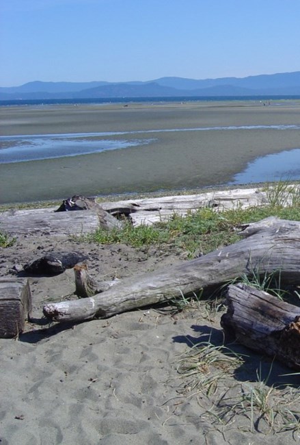 Avis de décès de Richard Sidney ARNOLD