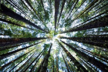 Obituary of Bruce Miller