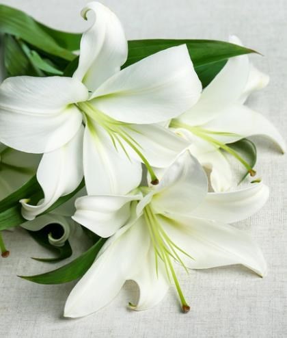 Obituary of Simone Mimi Soussana