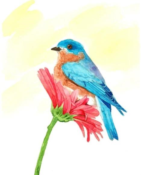 Obituary of Barbara Jane Royston