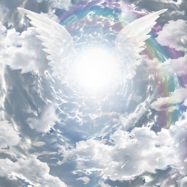 Obituary of Renato Ribas