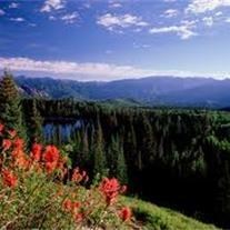 Obituary of Frances Erna Benge