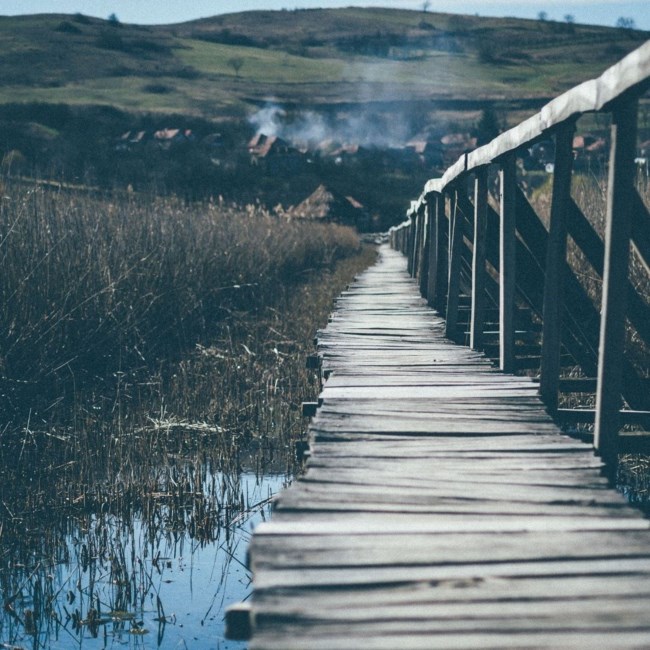 Obituary of Michael Cardelino