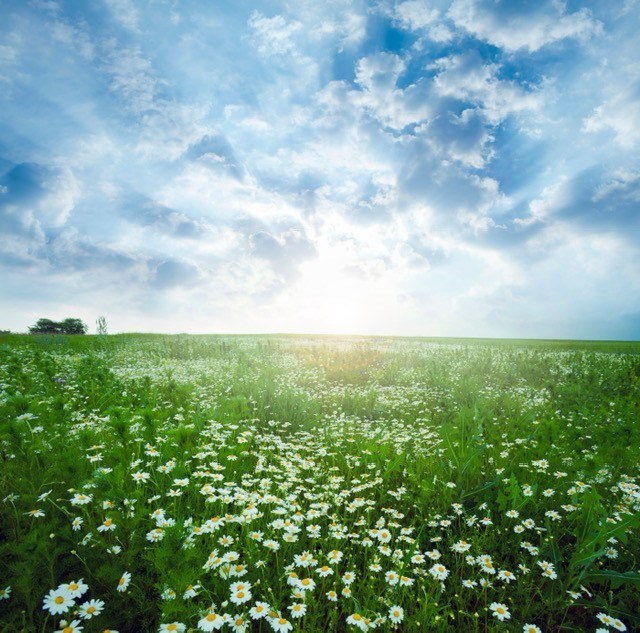 Obituary of Gerardo Aquino-Trujillo