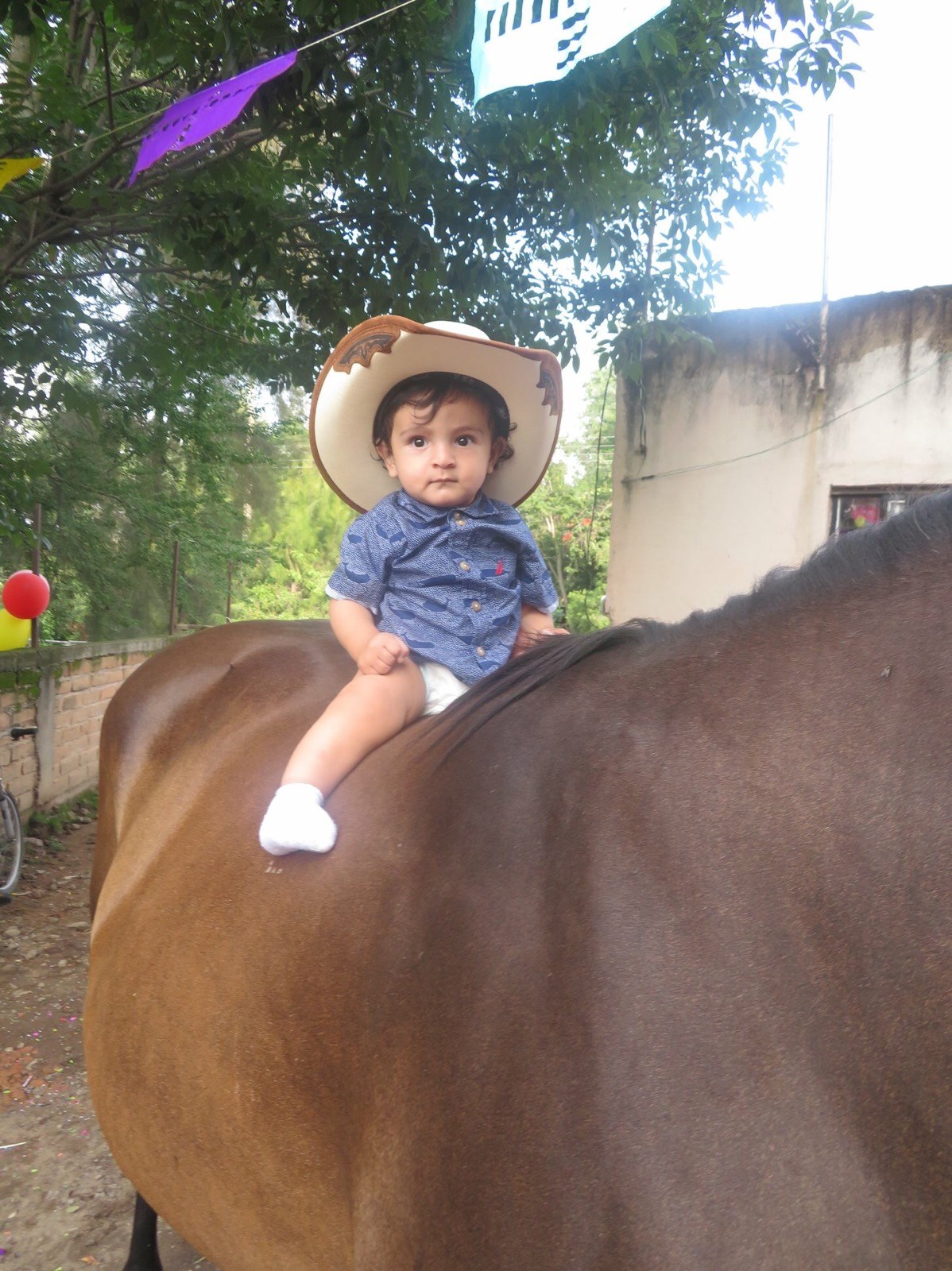 Obituary of Isaac Abraham Mejia