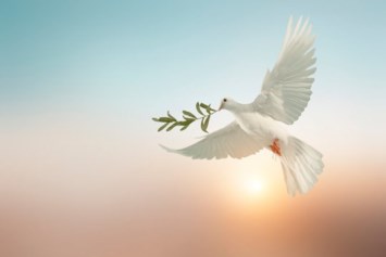 Obituary of Nancy Slocum