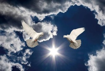 Obituary of Ignacio E. Sevillano