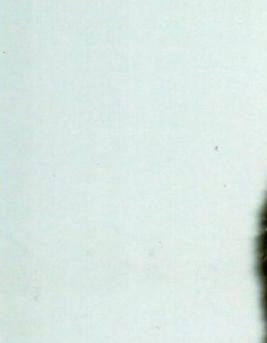 Philip Hopkins Obituary Anniston, AL