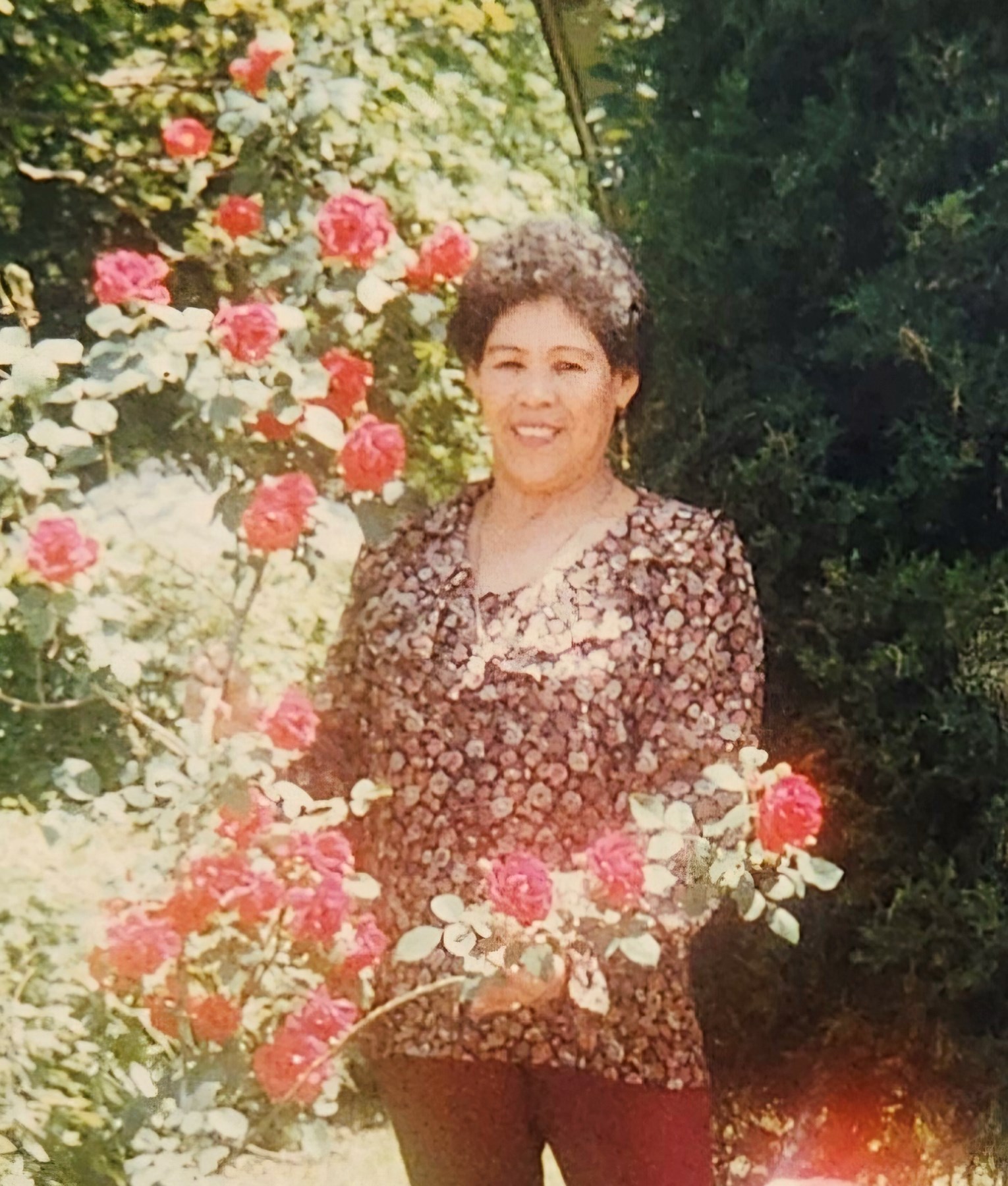 Obituario de Maria A Flores