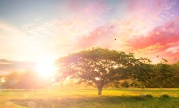 Obituary of Steel Joaquin Arostegui