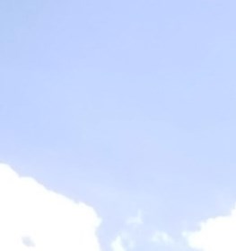 Joseph "Mike" Michael Collins Obituary Flagler Beach, FL