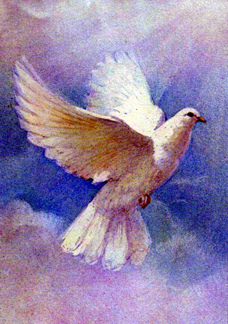 Obituary of Marilyn Norman