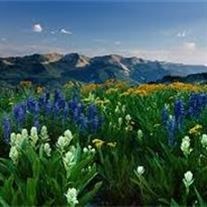 Obituary of Esther Lorraine Paul