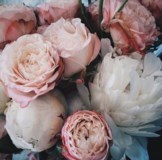 Obituary of Veronica Joyce Butler