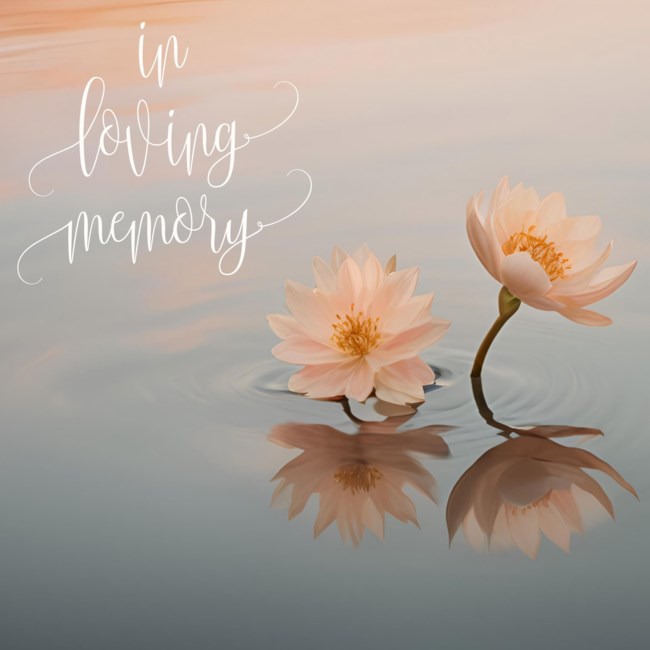 Obituary of Nasrin Esmi