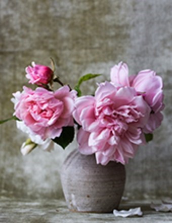 Obituary of Doris Lorraine O'Connor