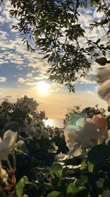 Obituary of Elizabeth Clarke Coyle