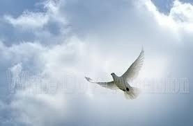 Obituary of Emma F. Miles Poland