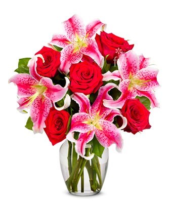 Obituary of Carol N. Black