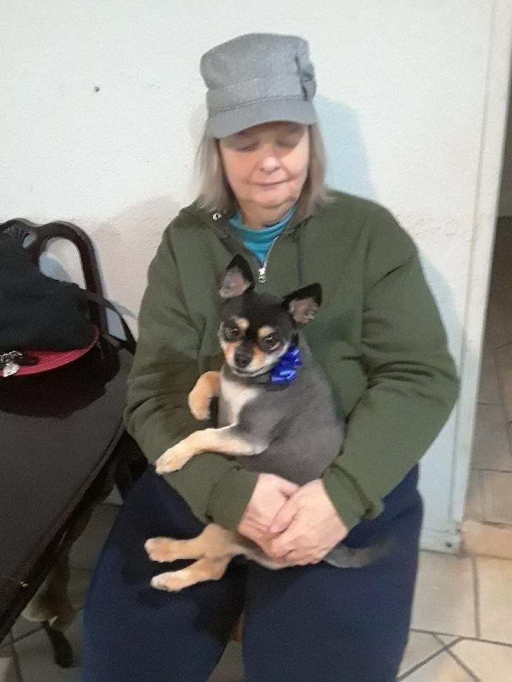 Obituary of Cynthia Rose Clark