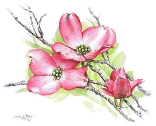 Obituary of Savannah Elizabeth Collins