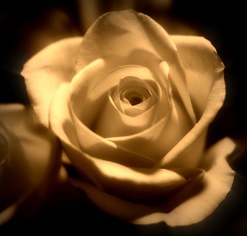 Obituary of Maria Julia Corrales De Azua