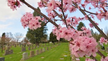 Obituary of Trang Huu Nguyen