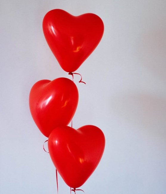 Obituary of Ann Avila Kyle