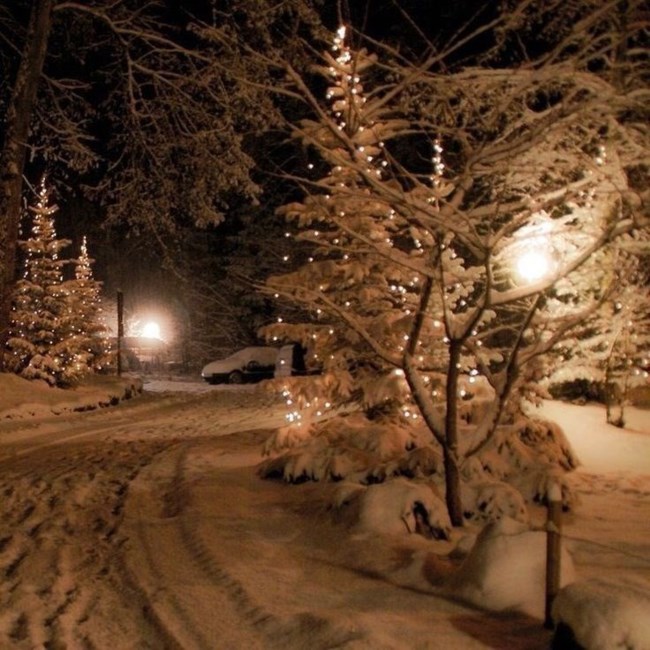 Obituary of Maria Guadalupe Avila