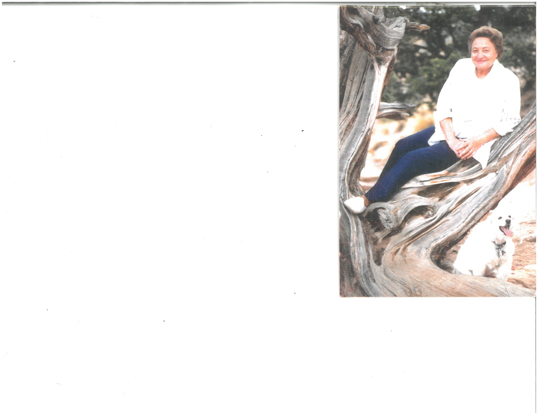 Obituary of Mary Jo Cady