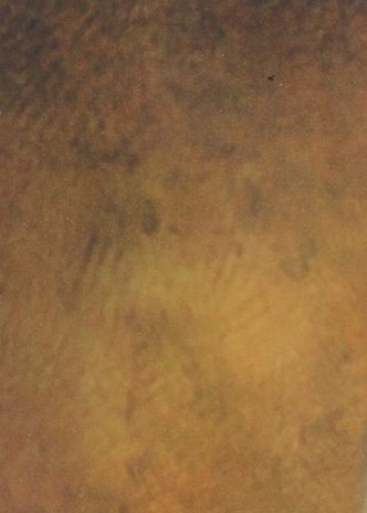 Stephen Miller Obituary Raleigh NC stephen-miller-obituary-raleigh-nc