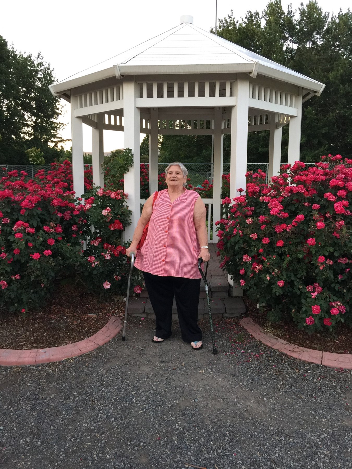 Obituary of Elizabeth Ann Robertson