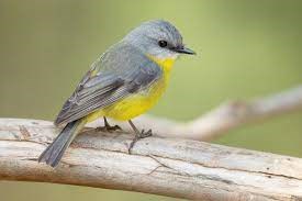 Obituary of James "Rocky" Rotchford Bent