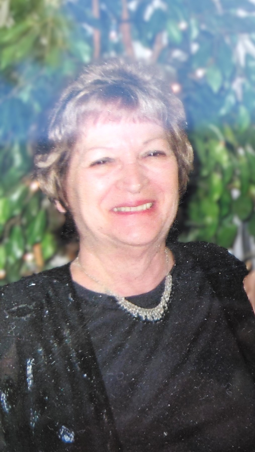 Obituary of Carol Ann Ezzo